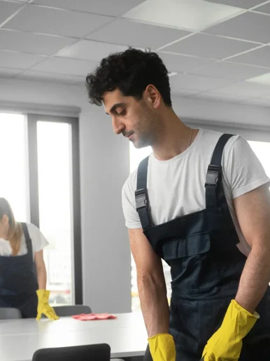 compressed_sv-image5